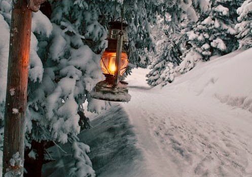 contributi neve rifugi belluno