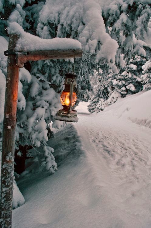 contributi neve rifugi belluno