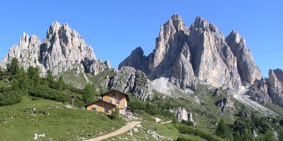 bando gal prealpi dolomiti