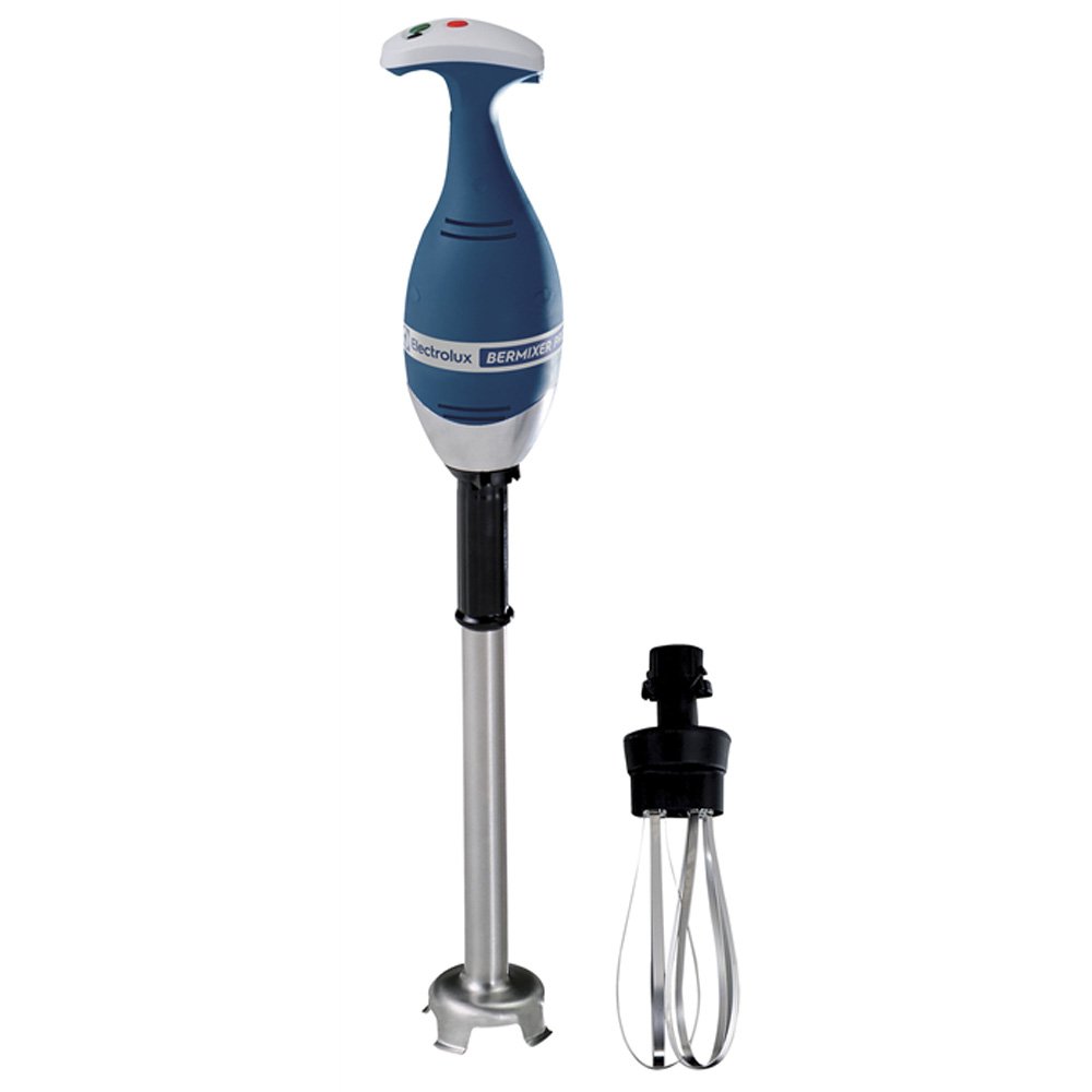 mixer immersione