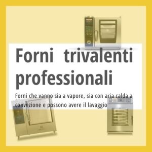 Forni a convezione vapore professionali