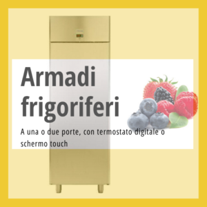 Armadi frigo professionali