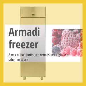 Armadi freezer professionali