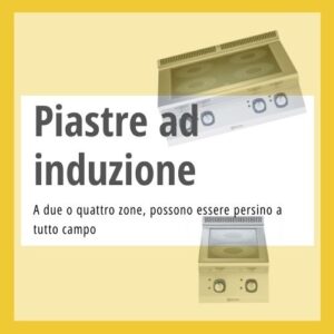 Induzione professionale