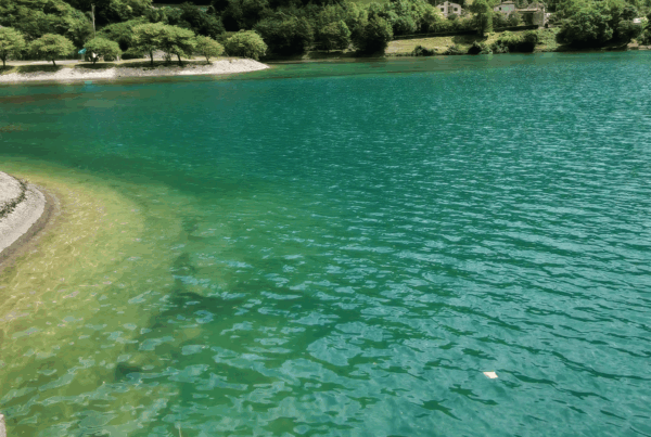 come muoversi ad agosto